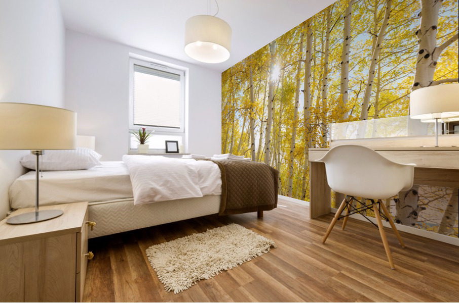 Golden Sunshine Autumn Day Mural print