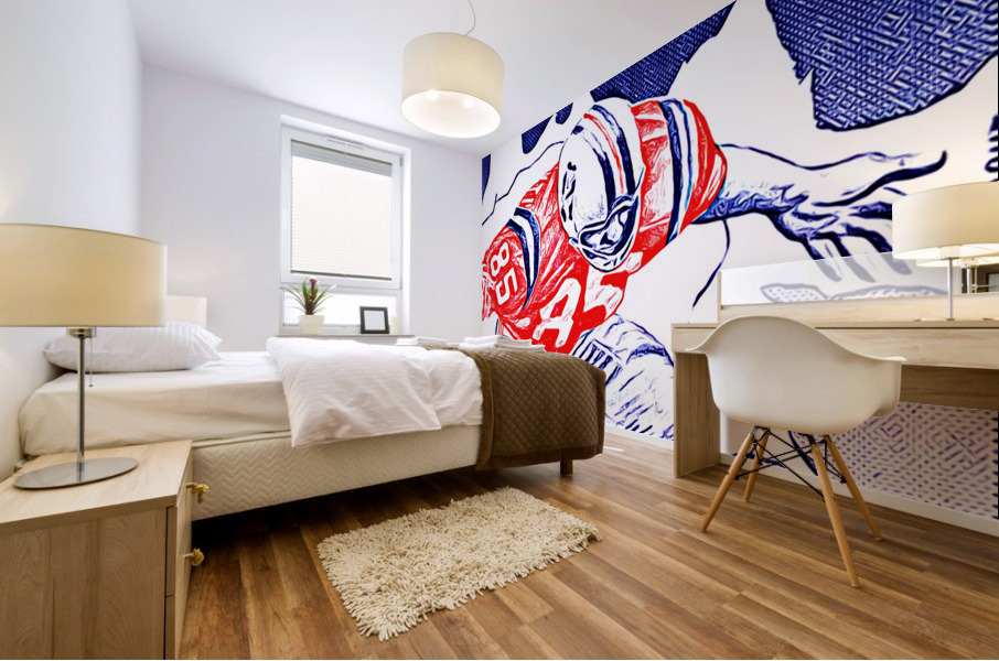 1966 Boston Patriots Art Mural print