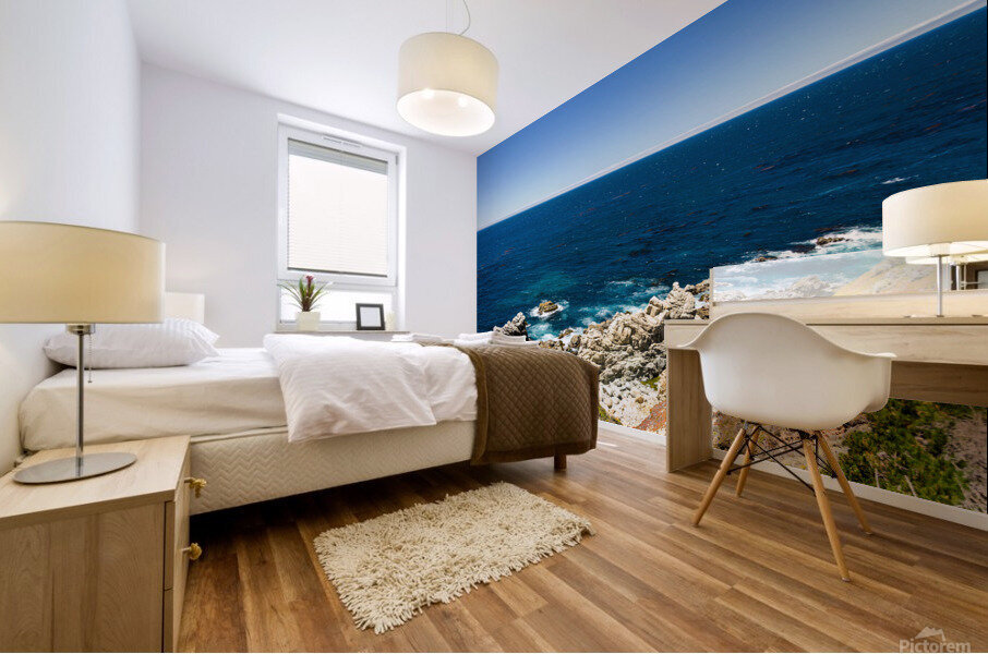 California Coastline Mural print