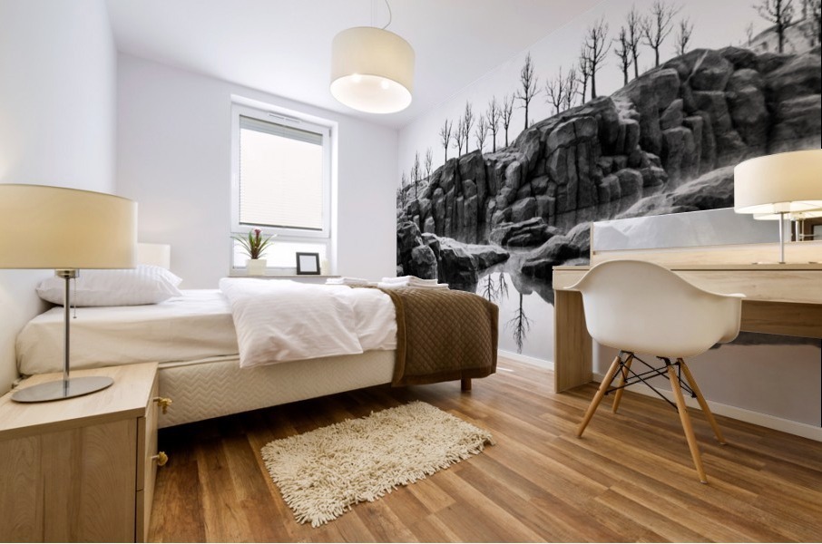 illusiOn Mural print