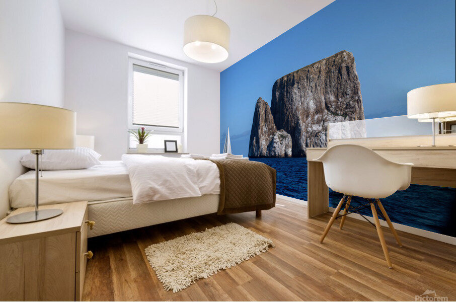 Kicker Rock Mural print