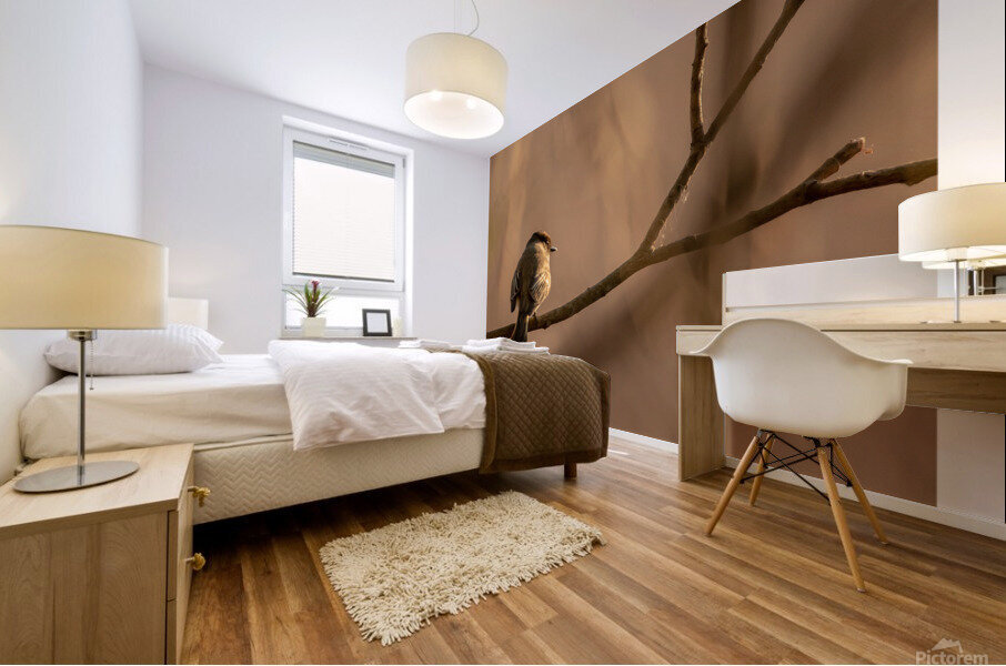 Watching Sunset Mural print