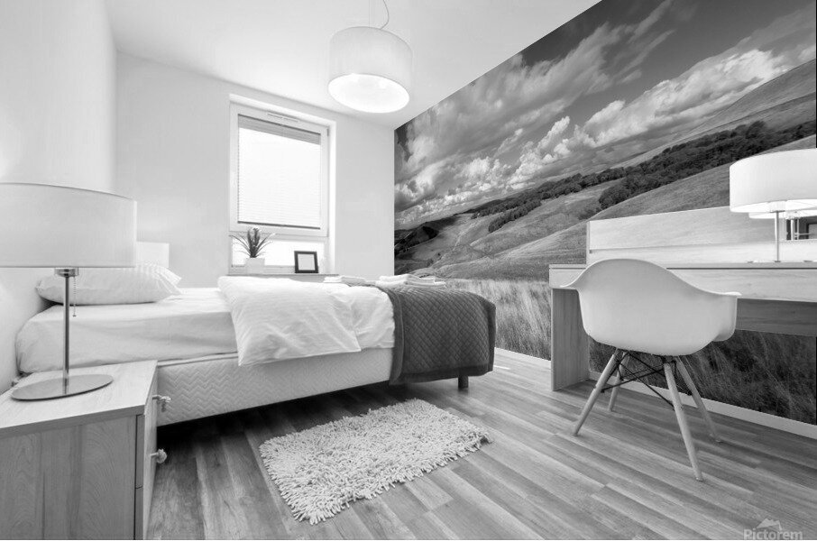 Countryside - Derbyshire - England Mural print