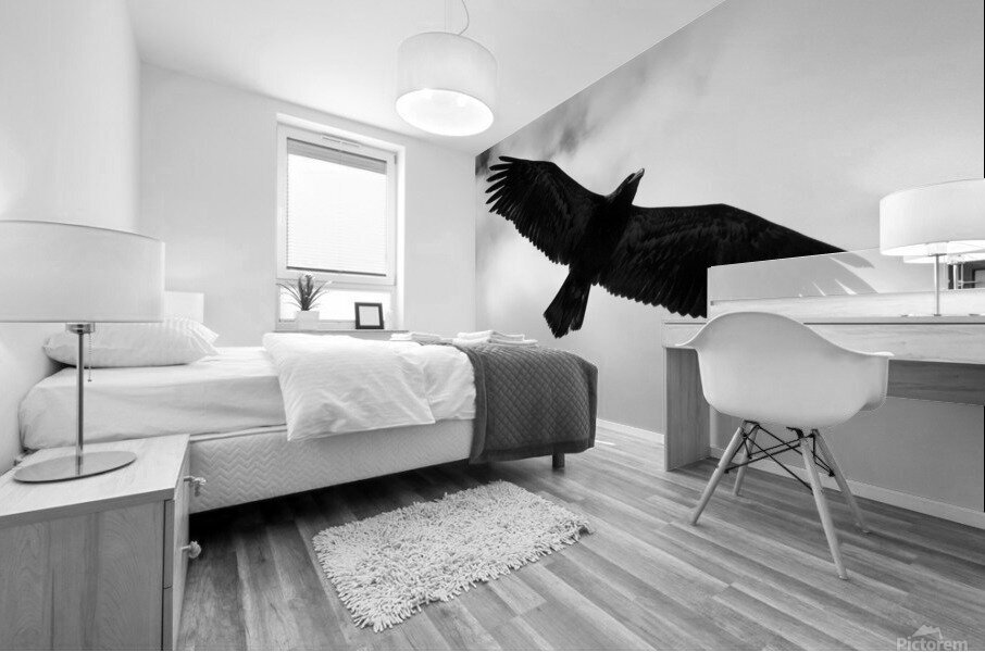 The sea eagle Mural print