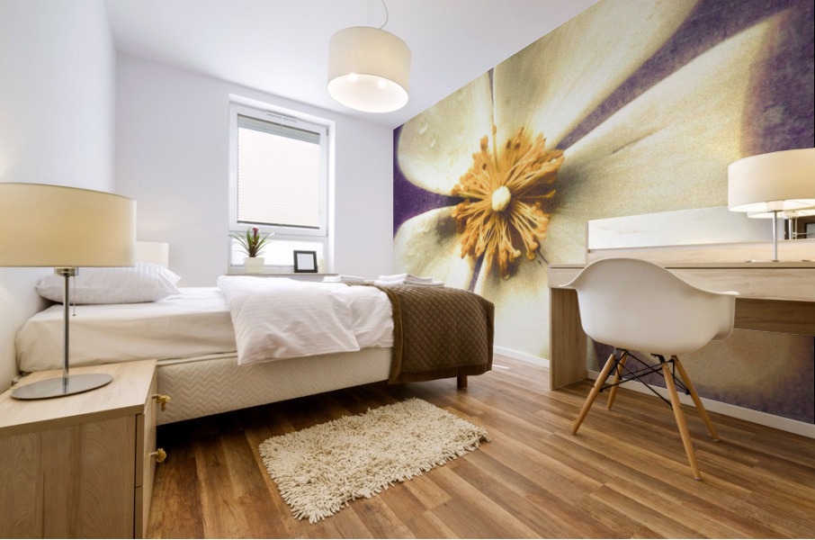 Jewel [ Winter Dream ] Mural print