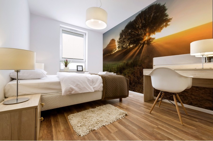 Sunbeams Mural print