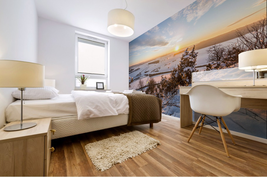 Snowy Winter Landscape Mural print