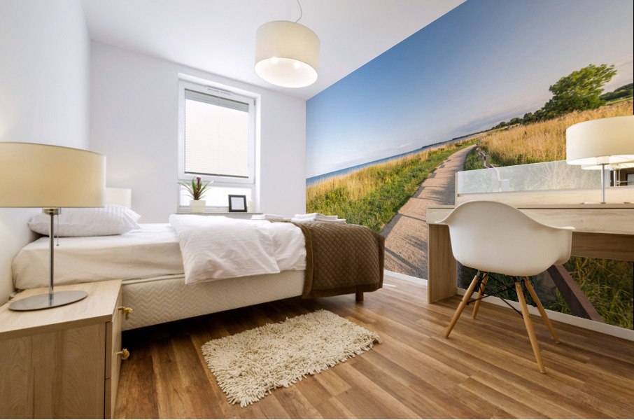 Footpath at the Baltic Sea Mural print