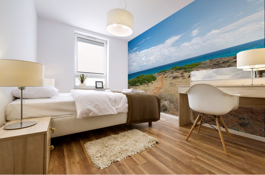 Mediterranean Ocean Trail Mural print