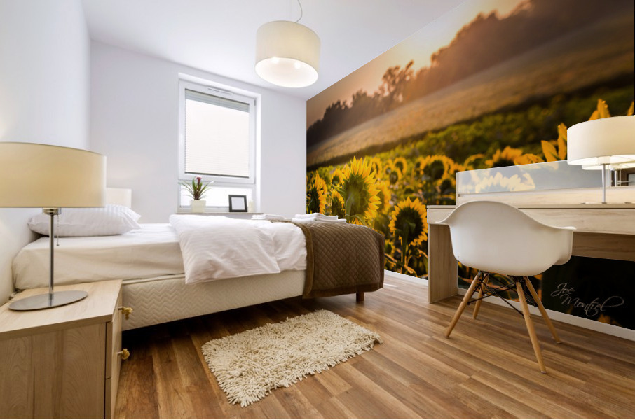 Sunflower Sunrise Mural print