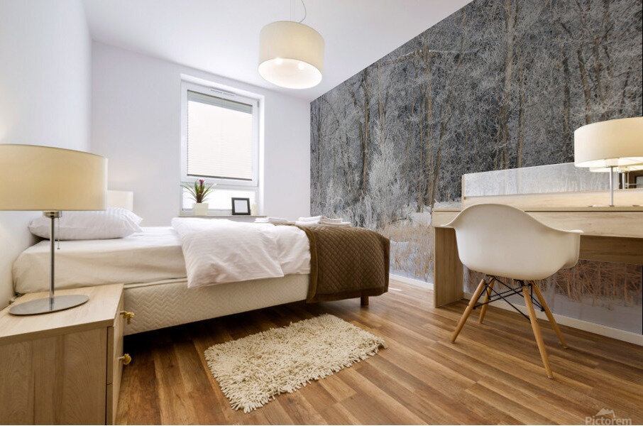 hoar frost  Mural print