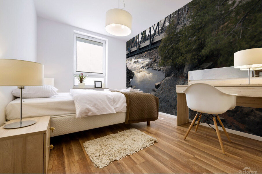 Jay Cooke Bridge Mural print