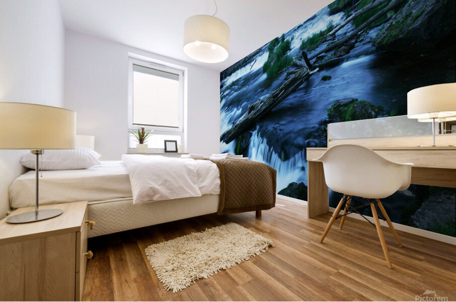 Willow Falls Mural print