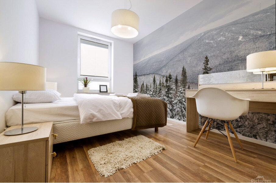 Massif du Sud Mural print