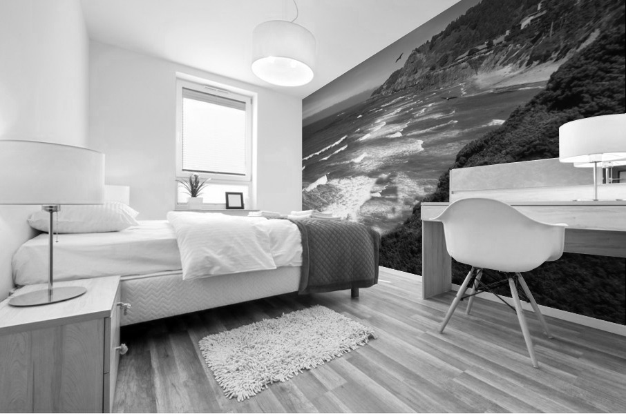 BW Eagles Flying Along the Coast Mural print