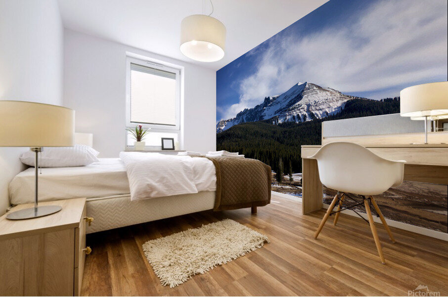 Lizard head pass Mural print