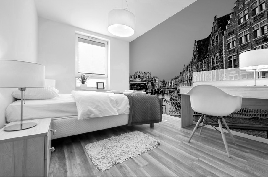 BW Wondrous Belgium Mural print