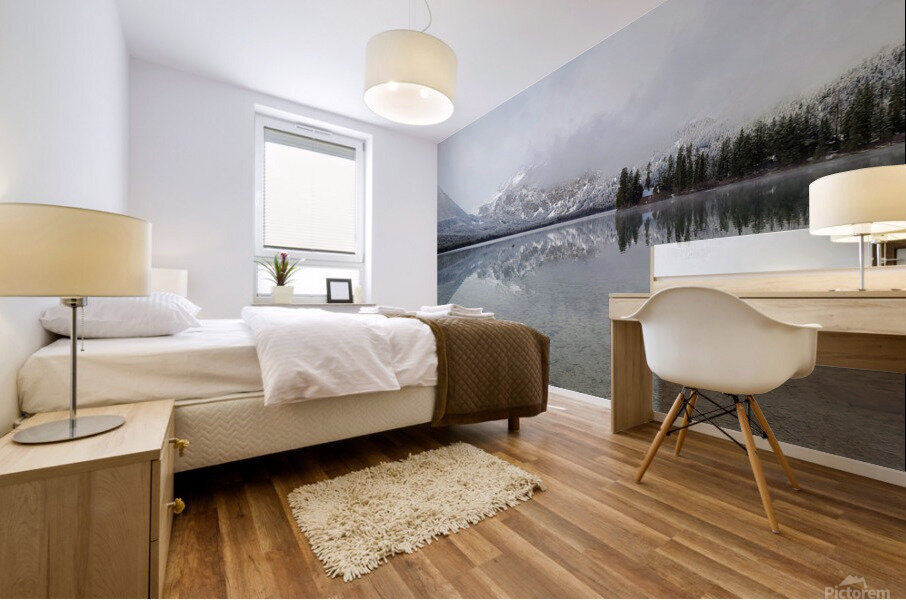 Winter Storm Mural print