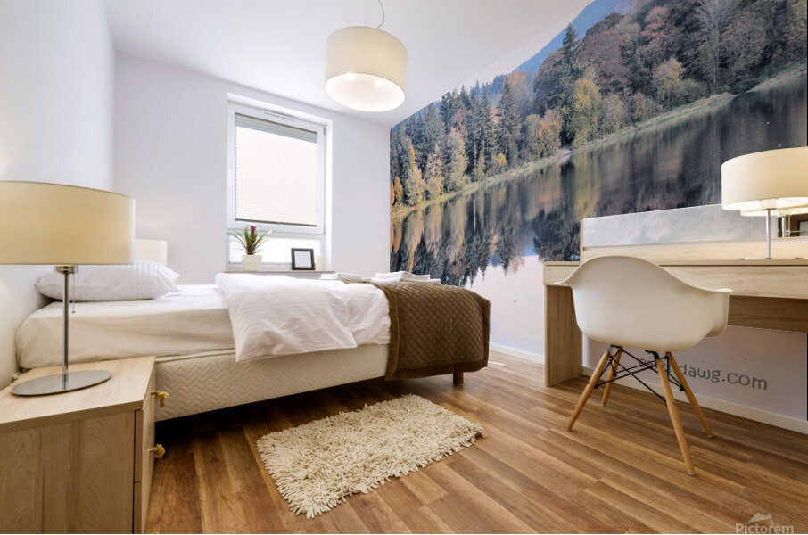 Kress Lake Mural print