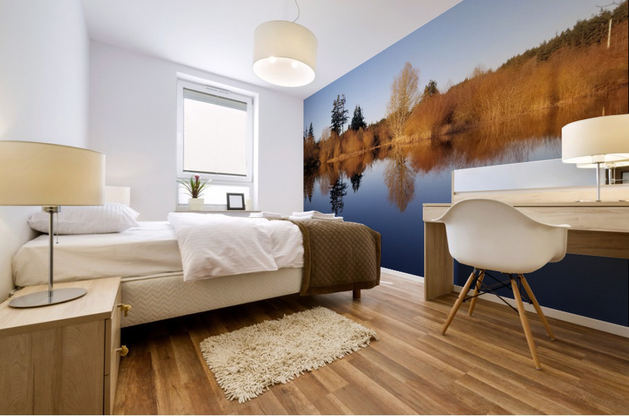 Second Chances Mural print