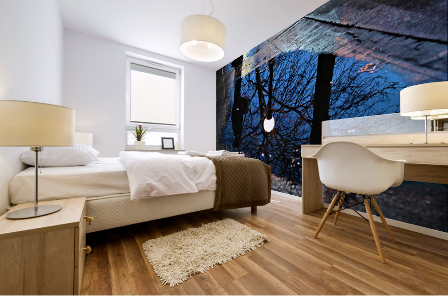 Night Reflection Mural print