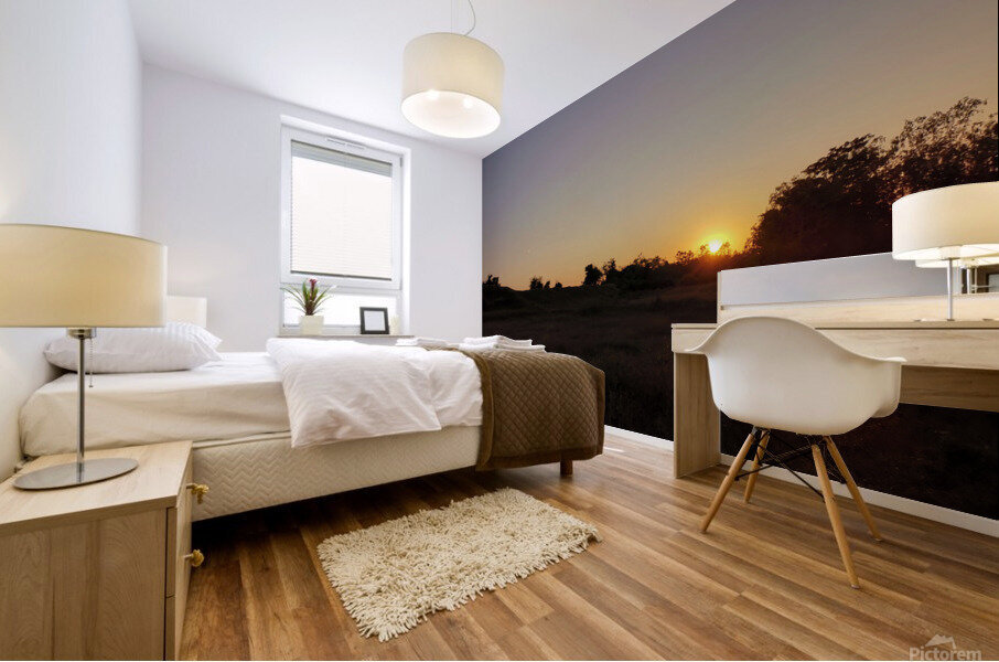 Twilight Mural print