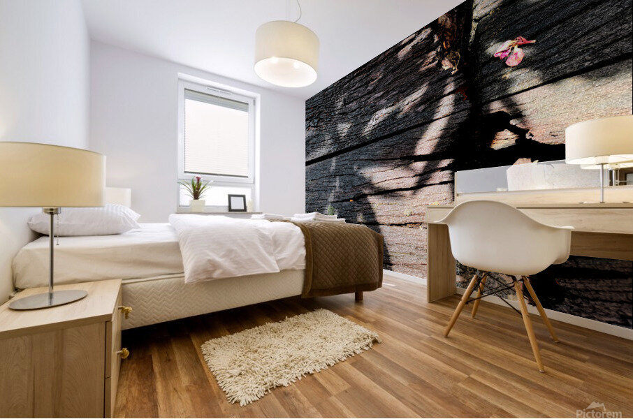 Old Wood and Shadow Mural print