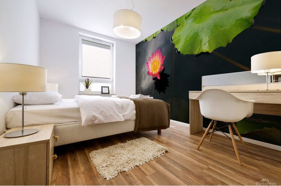 Water Lily Mural print