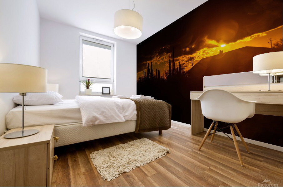 cavecreeksunset 03 Mural print