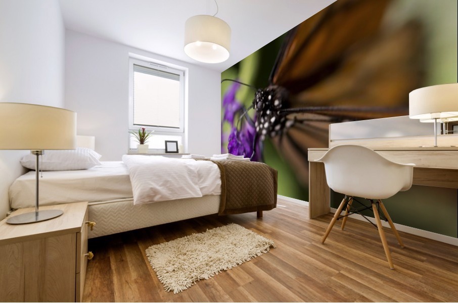 Butterfly Eye Mural print