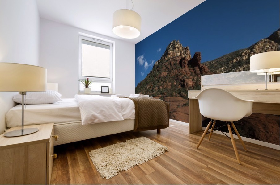 Red Rock Mural print