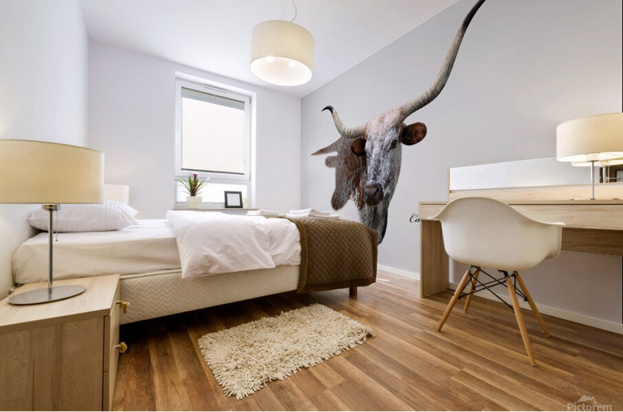 Longhorn Cow With Shadow Mural print