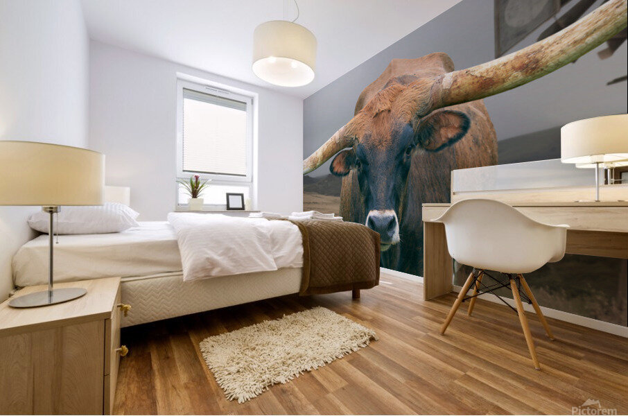 Longhorn Cow - Wide Format - Windmill Mural print