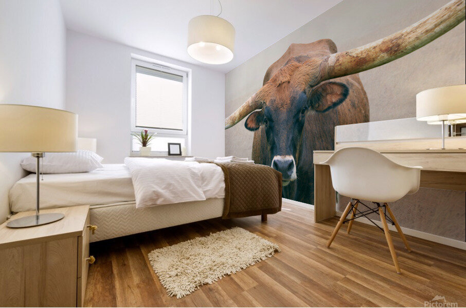 Longhorn Cow - Wide Format - Neutral Colors Mural print
