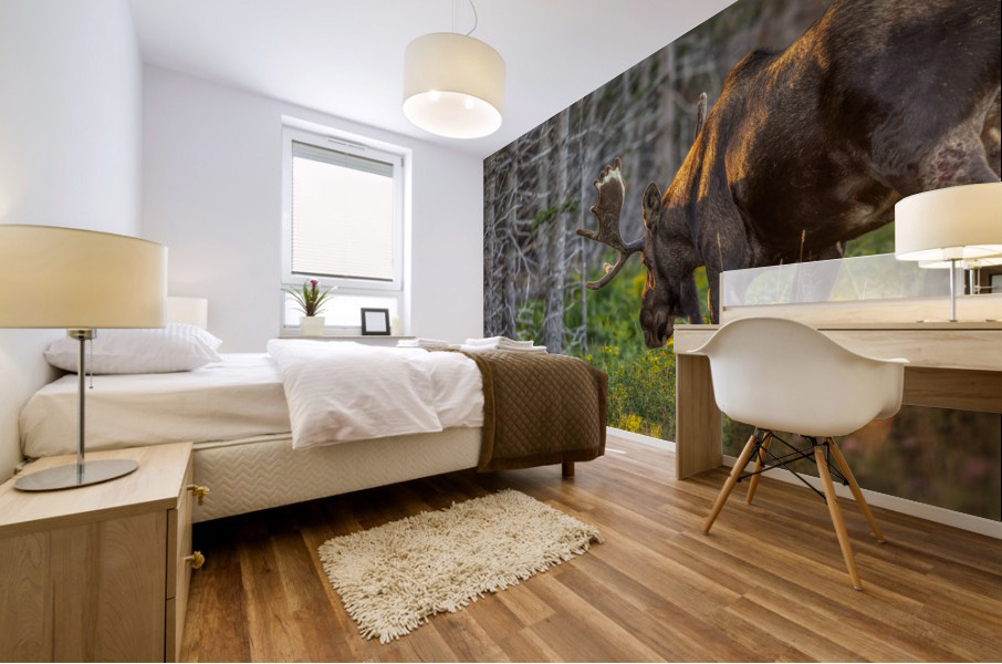 Golden_Hour_Moose Mural print