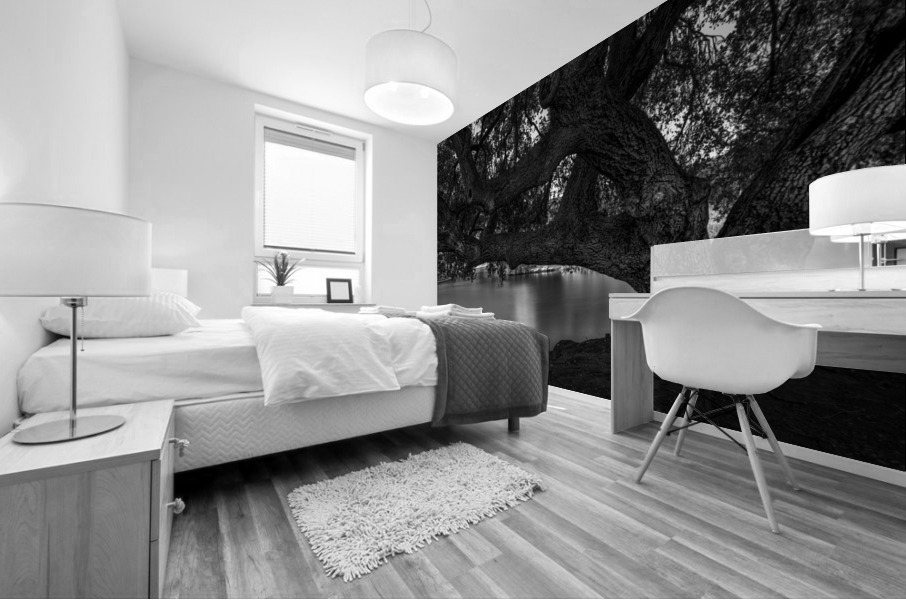 DJ 08580 Mural print