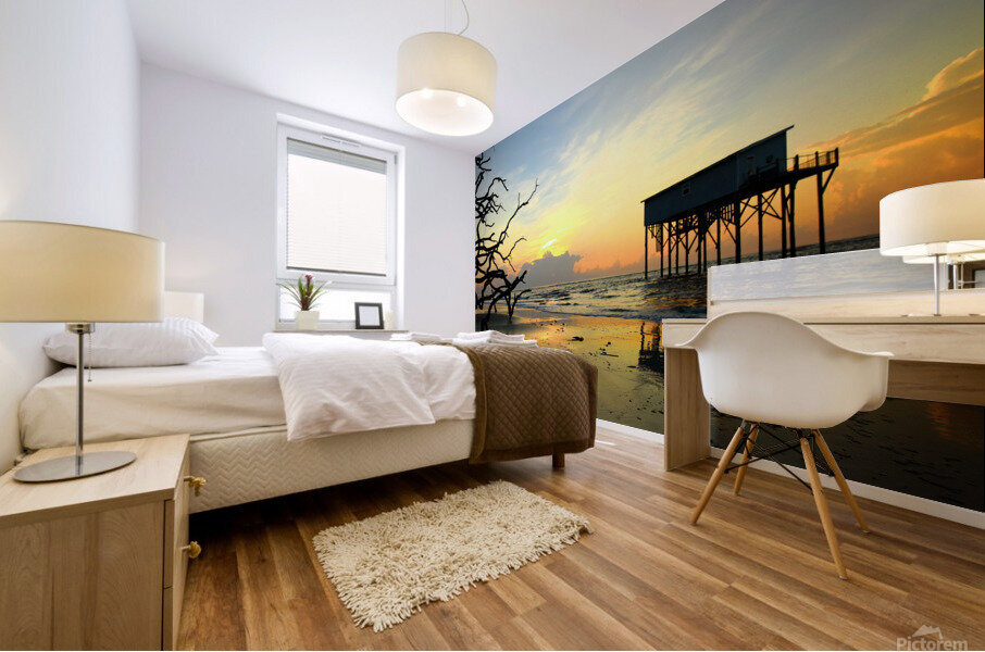 The Last Little Blue at Sunset Mural print