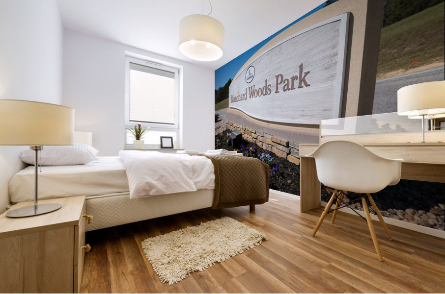 Blanchard Woods Park   Evans GA 9479 Mural print