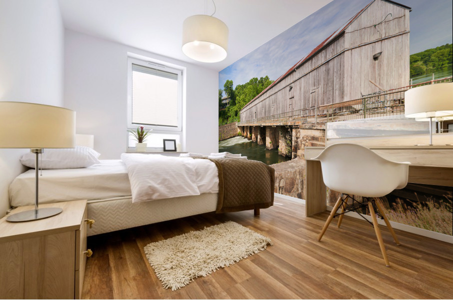 Headgates at Savannah Rapids   Martinez GA A73027 1675603299.8644 Mural print