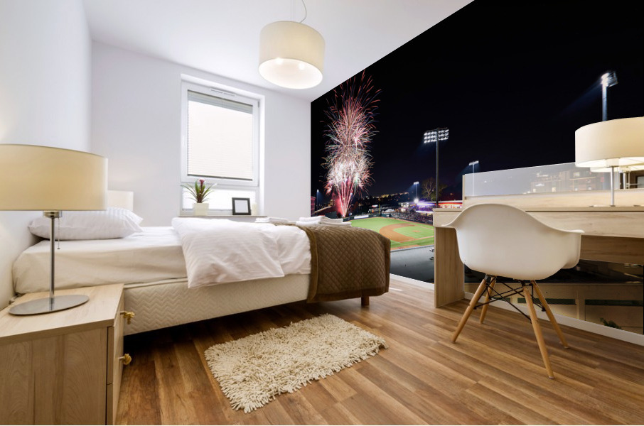 Fireworks ar SRP Park Home of the GreenJackets    1675611049.8332 Mural print