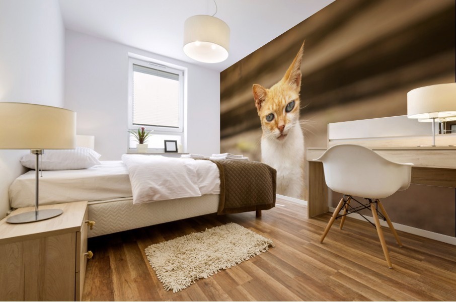 IMG_1320 Mural print