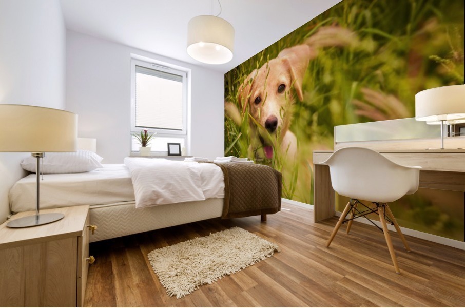 IMG_1411 2 Mural print