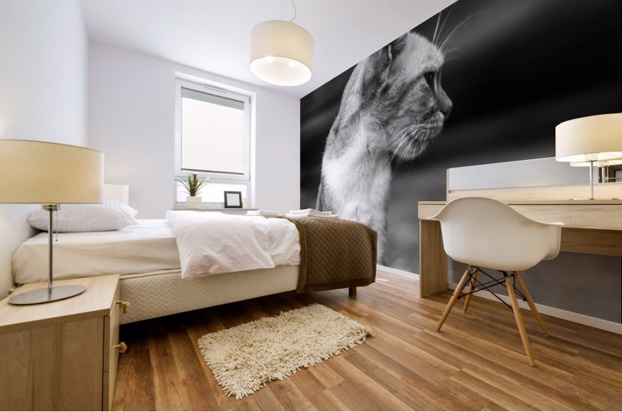 IMG_1324 Mural print