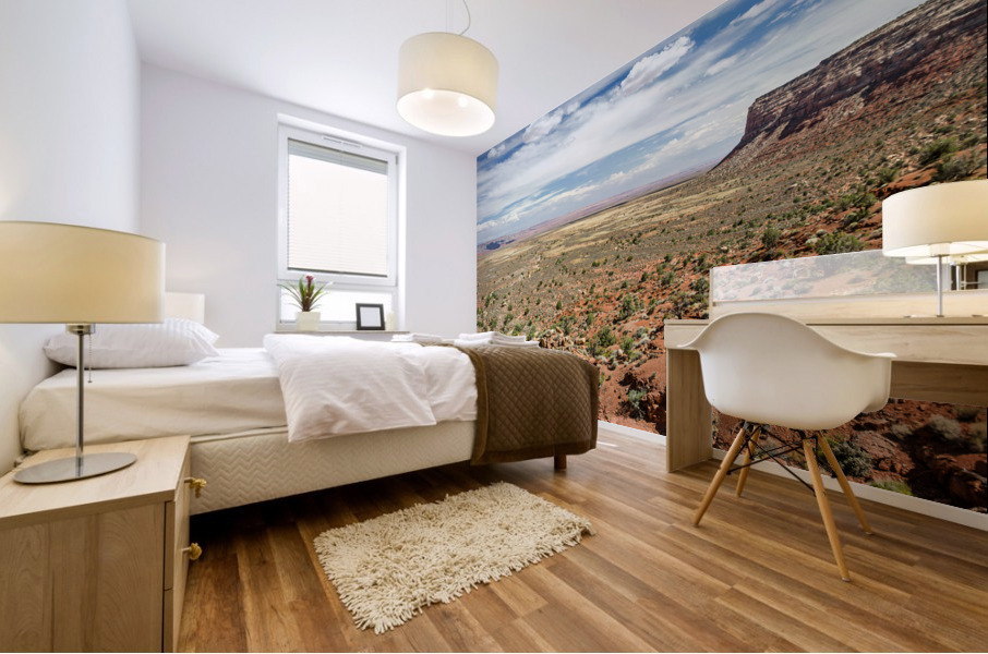 Desert Landscape Mural print