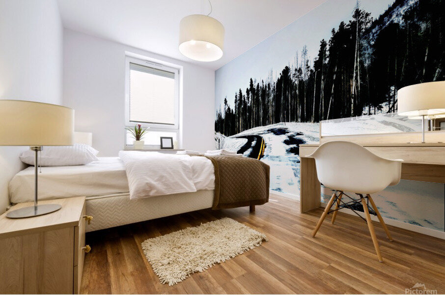Fairytale Forest Mural print