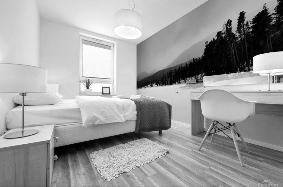 Silent Lake Mural print