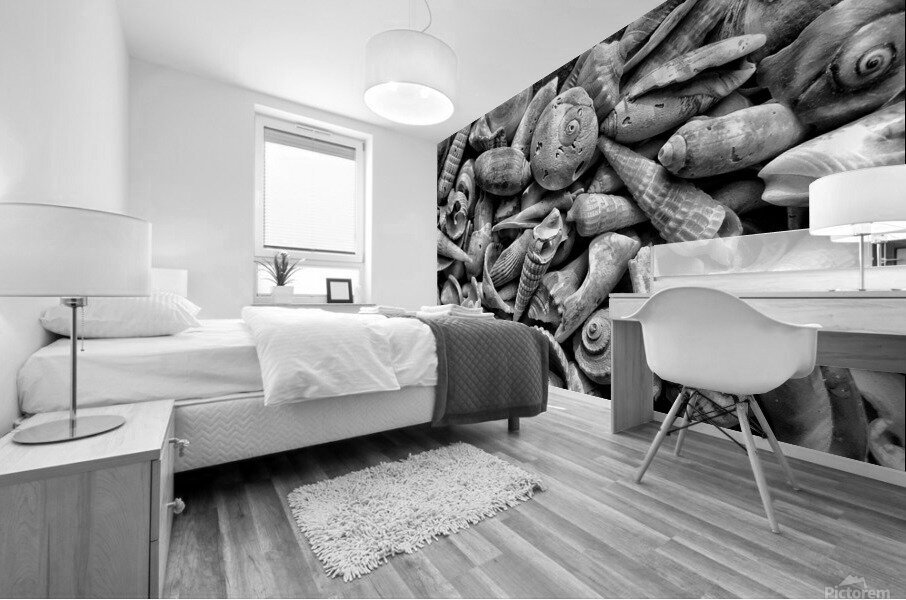 Seashells B&W Mural print