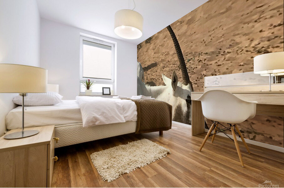 Arabian Oryx: Dubai United Arab Emirates Mural print