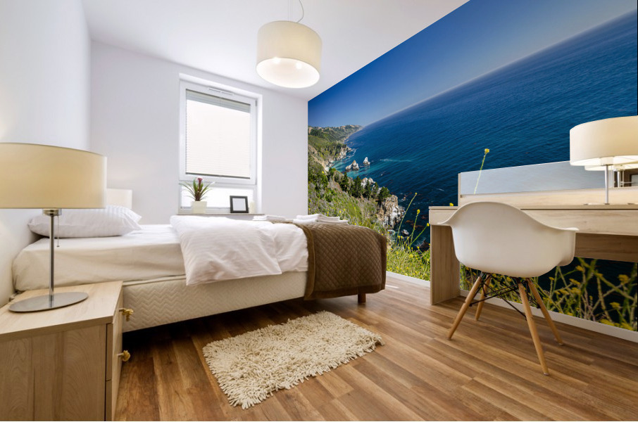 Pacific Coastline Mural print