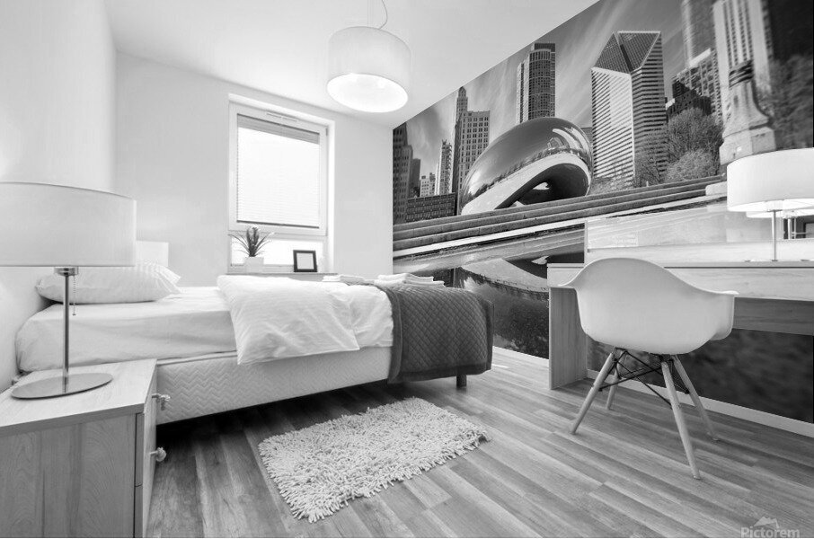 Chicago - The Cloud Gate I - Black & White Mural print